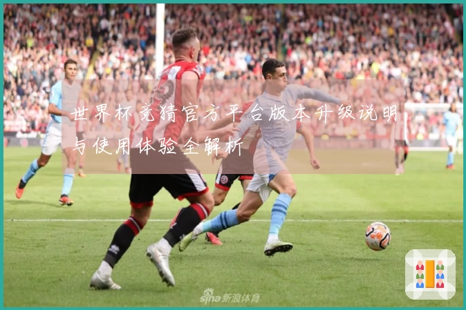 世界杯竞猜官方平台版本升级说明与使用体验全解析