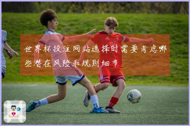 世界杯投注网站选择时需要考虑哪些潜在风险和规则细节