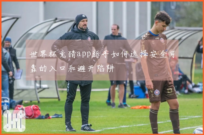 世界杯竞猜app新手如何选择安全可靠的入口和避开陷阱