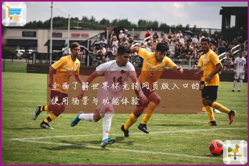 全面了解世界杯竞猜网页版入口的使用场景与功能体验