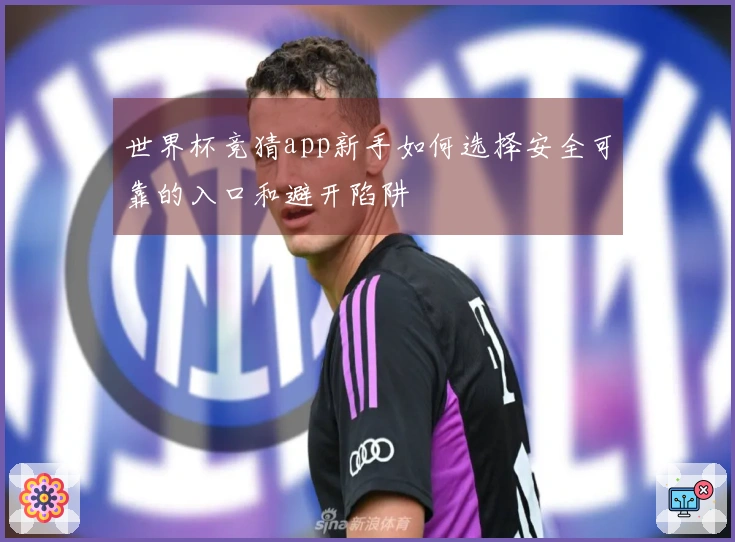 世界杯竞猜app新手如何选择安全可靠的入口和避开陷阱