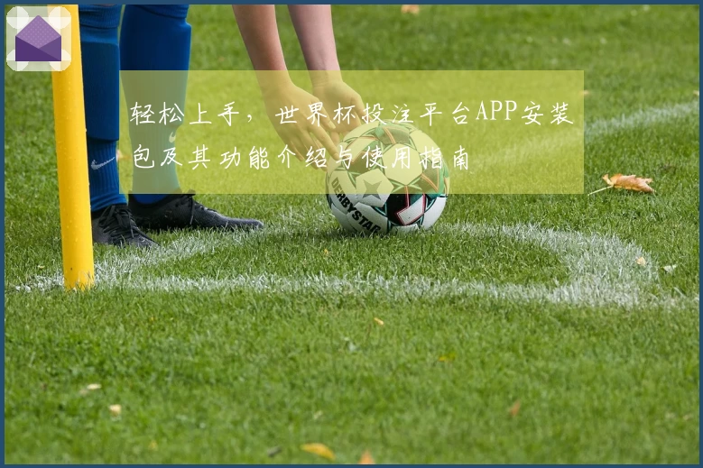 轻松上手，世界杯投注平台APP安装包及其功能介绍与使用指南