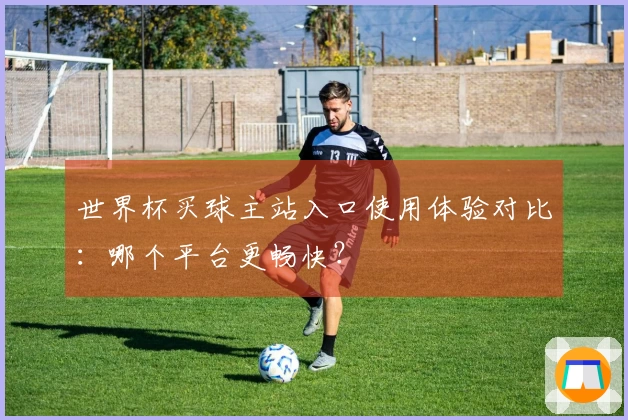 世界杯买球主站入口使用体验对比：哪个平台更畅快？