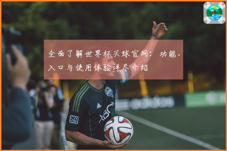 全面了解世界杯买球官网：功能、入口与使用体验详尽介绍