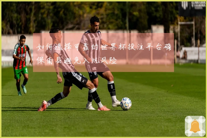如何选择可靠的世界杯投注平台确保南县避免入坑风险