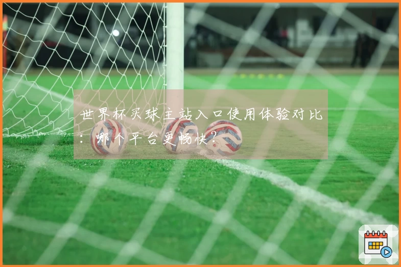 世界杯买球主站入口使用体验对比：哪个平台更畅快？