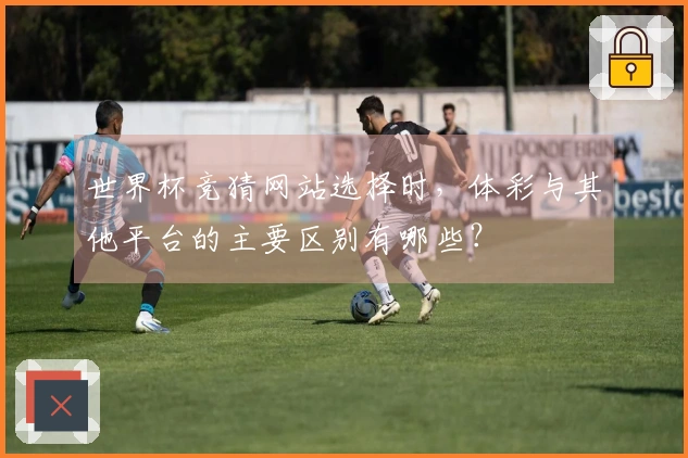 世界杯竞猜网站选择时，体彩与其他平台的主要区别有哪些？