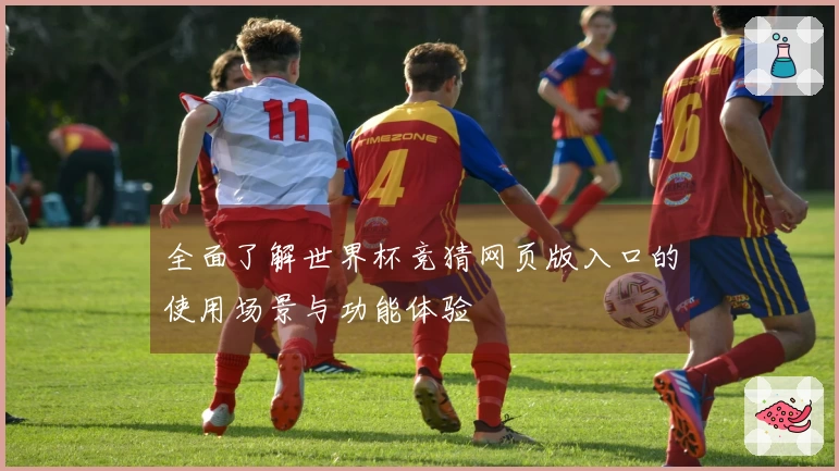 全面了解世界杯竞猜网页版入口的使用场景与功能体验