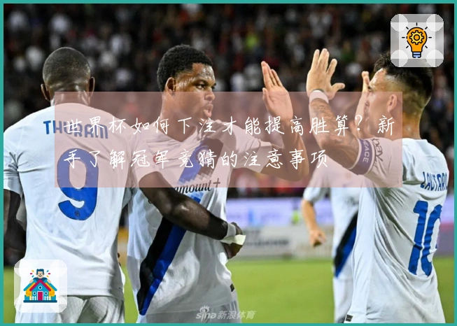世界杯如何下注才能提高胜算？新手了解冠军竞猜的注意事项